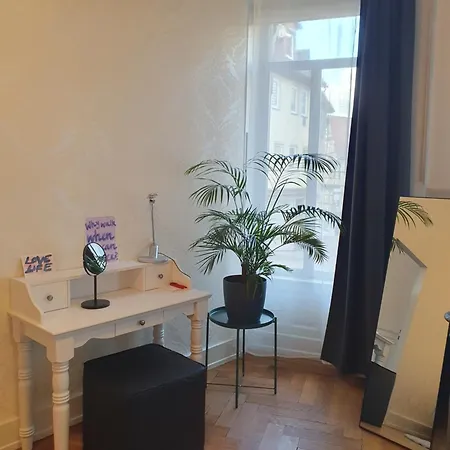 Grosszuegige 3 Altbau-ferienwohnung In Zentraler Lage Διαμέρισμα Σβέμπις Χαλ