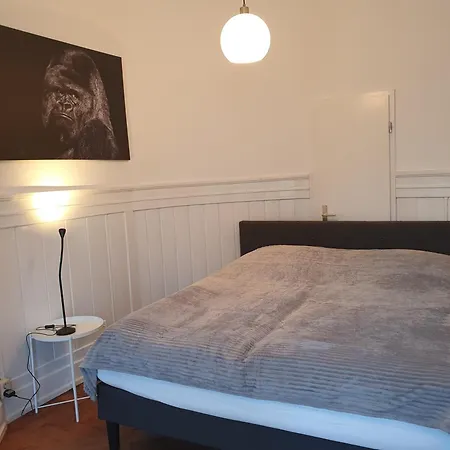 Grosszuegige 3 Altbau-ferienwohnung In Zentraler Lage * Σβέμπις Χαλ